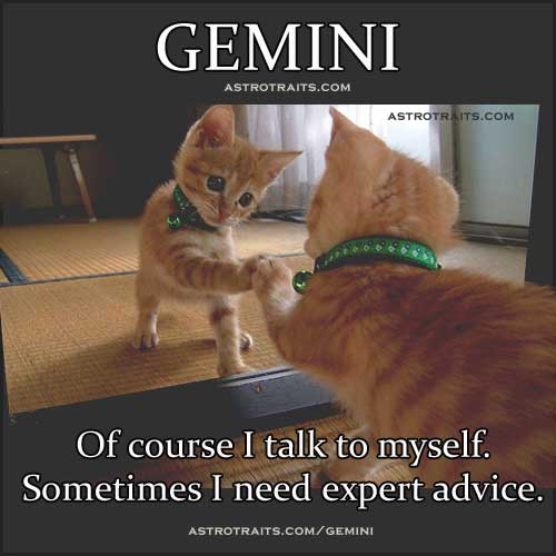 Gemini The Twins Everything About Gemini Zodiac Sign