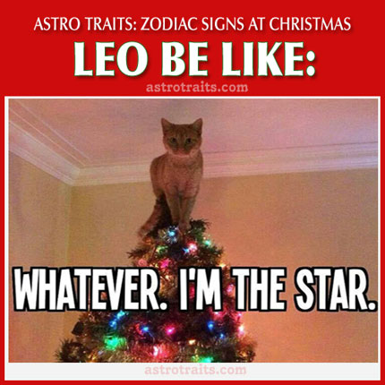 zodiac-christmas-meme-leo.jpg