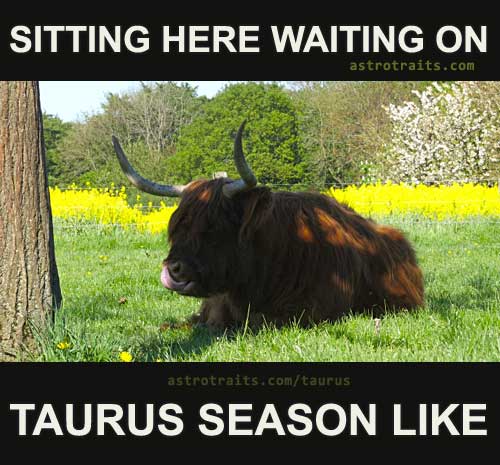 TAURUS SEASON Memes - The Best 11+ Memes about Taurus Season