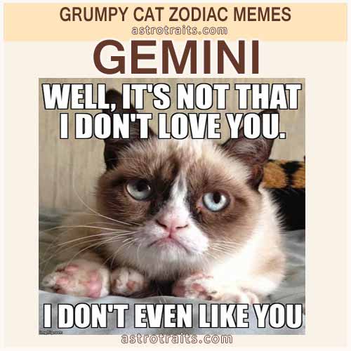 Gemini The Twins Everything About Gemini Zodiac Sign