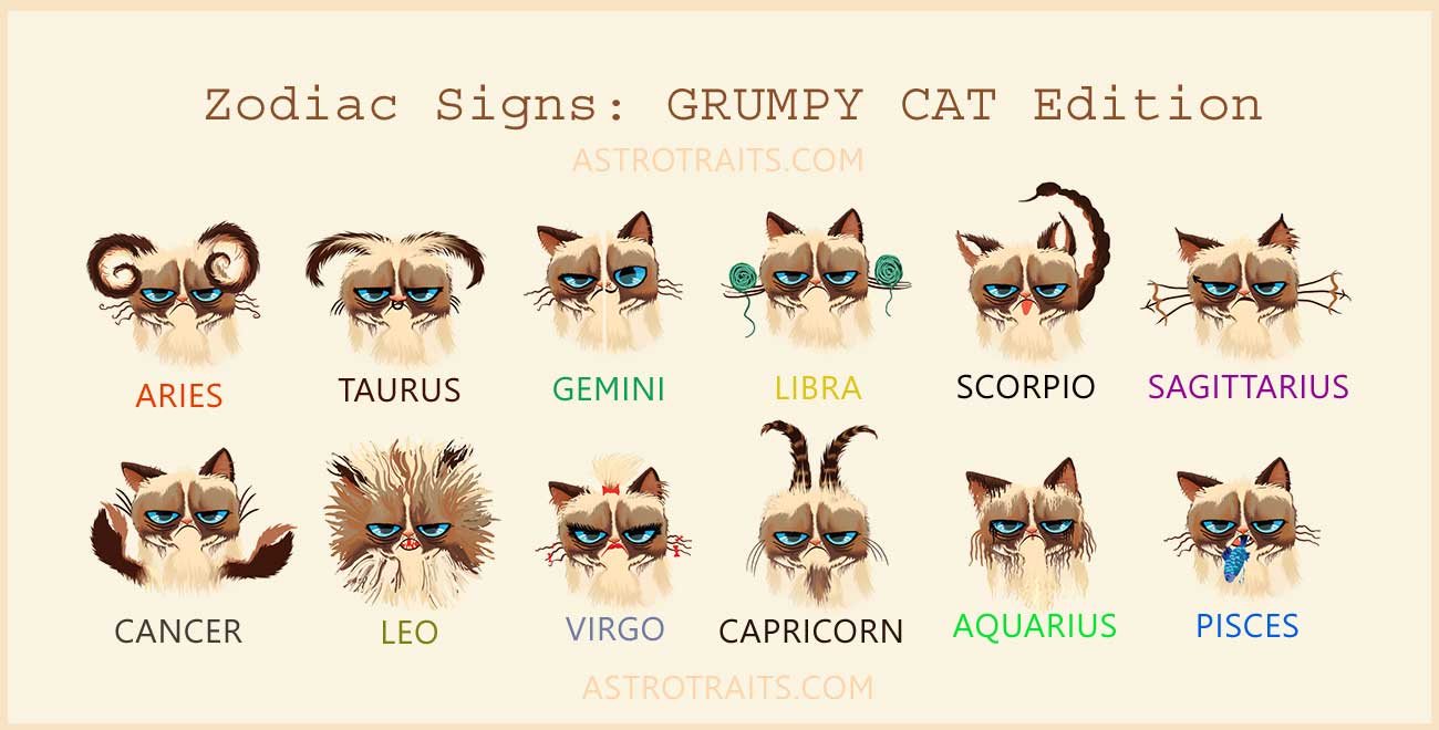 Grumpy Cat Zodiac Signs