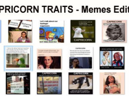 capricorn traits