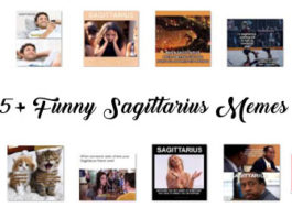 funny sagittarius memes compilation