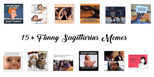 funny sagittarius memes compilation