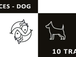 pisces dog