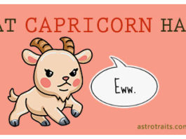 capricorn dislikes