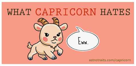 capricorn dislikes