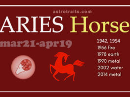 aries horse
