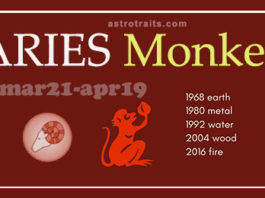 aries monkey