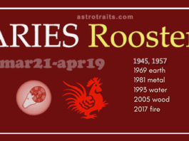 aries rooster