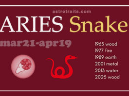 aries snake