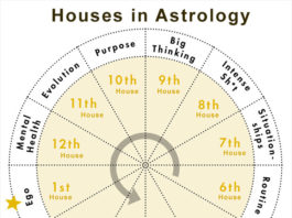 astrological houses explained