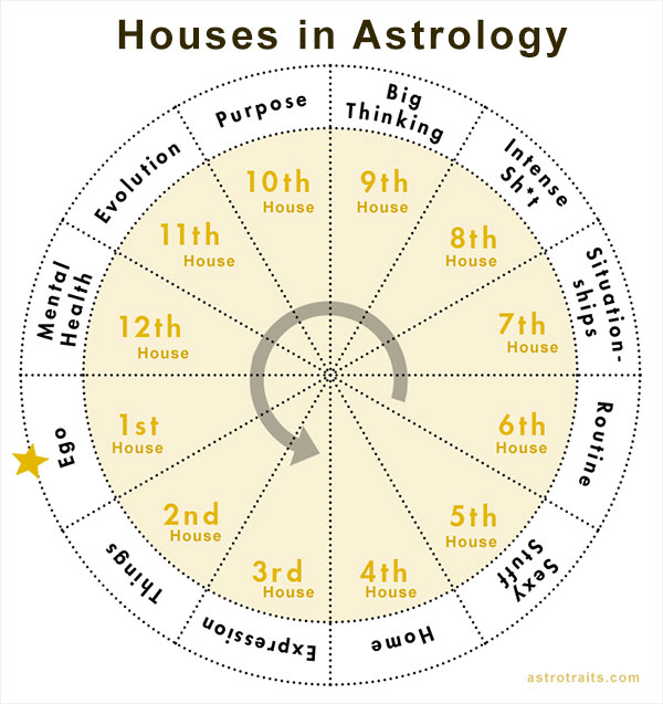 astrological houses explained