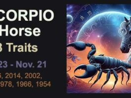 scorpio horse