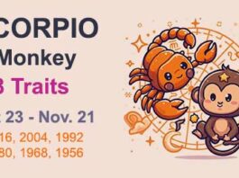 scorpio monkey